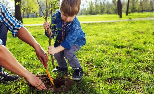 Pai Com Criança Mãos Dadas Garotinho Ajudando Seu Pai Plantar — Fotografia de Stock