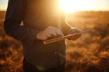 Çiftçi şaşırtıcı fotoğraf. Buğday alan ilerleme, Internet kullanarak Tablet tutarak kontrol ediliyor. Zengin hasat doğa fotoğraf fikir kapatın. Kopya alanı kırsal çayırda ufukta ayar güneş ışınlarının.