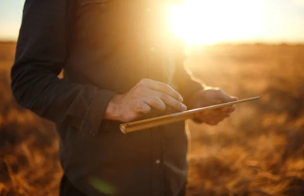 Incredibile foto di Farmer. Controllo del progresso del campo di grano, tenendo tablet utilizzando Internet. Close Up Natura Foto Idea di un raccolto ricco. Copia lo spazio dei raggi del sole al tramonto su Horizon nel prato rurale . — Foto Stock
