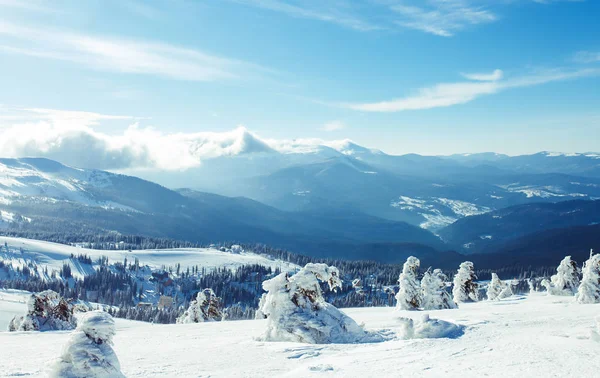 Příroda Krásná Zimní Krajina Zasněženými Stromy Krásný Výhled Hory Vrchu — Stock fotografie