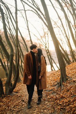 Ormanda güzel bir sonbahar gününde dışarıda şık genç bir çift. Birbirine aşık genç bir çift, bir sonbahar günü el ele tutuşup parkta yürüyorlar. Gençlik, aşk ve yaşam tarzı kavramı.