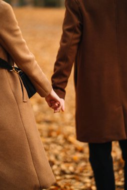 Ormanda güzel bir sonbahar gününde dışarıda şık genç bir çift. Birbirine aşık genç bir çift, bir sonbahar günü el ele tutuşup parkta yürüyorlar. Gençlik, aşk ve yaşam tarzı kavramı.