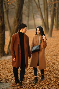 Ormanda güzel bir sonbahar gününde dışarıda şık genç bir çift. Birbirine aşık genç bir çift, bir sonbahar günü el ele tutuşup parkta yürüyorlar. Gençlik, aşk ve yaşam tarzı kavramı.
