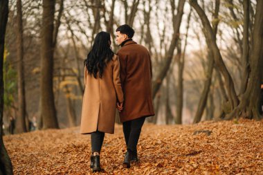 Ormanda güzel bir sonbahar gününde dışarıda şık genç bir çift. Birbirine aşık genç bir çift, bir sonbahar günü el ele tutuşup parkta yürüyorlar. Gençlik, aşk ve yaşam tarzı kavramı.