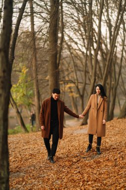 Ormanda güzel bir sonbahar gününde dışarıda şık genç bir çift. Birbirine aşık genç bir çift, bir sonbahar günü el ele tutuşup parkta yürüyorlar. Gençlik, aşk ve yaşam tarzı kavramı.