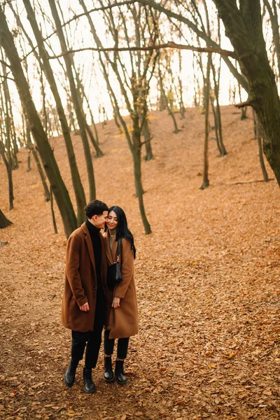 森の中の美しい秋の日に屋外でスタイリッシュな若いカップル 手を取り合って秋の日に公園を歩くのが好きな若いカップル ライフスタイルの概念 — ストック写真