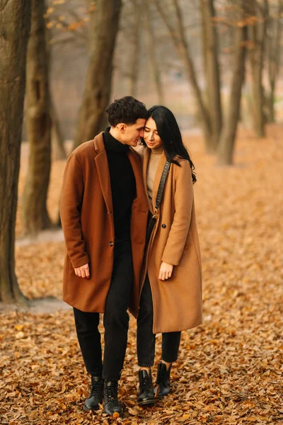 Elegante Jovem Casal Livre Belo Dia Outono Floresta Jovem Casal — Fotografia de Stock