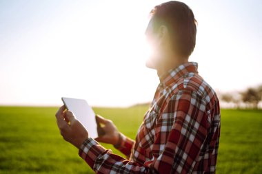 Elinde tabletle yeşil buğday tarlasında çiftçi. Akıllı çiftlik. Çiftçi tarladaki ekinlerini kontrol ediyor. Olgunlaşmış buğday tarlaları. Tarım sektörü kavramı.