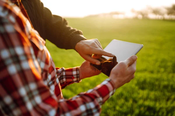 Agricultores Lendo Discutindo Relatório Computador Tablet Campo Agrícola Pôr Sol — Fotografia de Stock