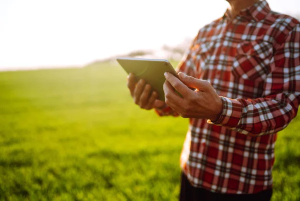 Tablet Bir Çiftçinin Elinde Akıllı Çiftlik Çiftçi Tarladaki Ekinlerini Kontrol — Stok fotoğraf