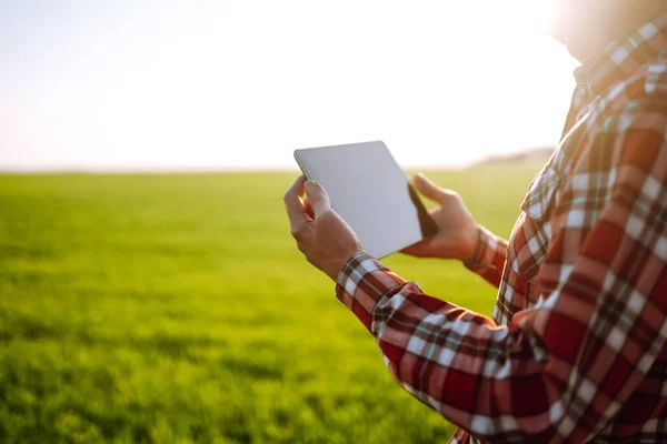 Tablet Handen Van Een Boer Een Slimme Boerderij Boer Controleert — Stockfoto