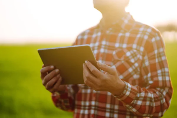 Tavoletta Nelle Mani Contadino Una Fattoria Intelligente Agricoltore Controlla Raccolti — Foto Stock