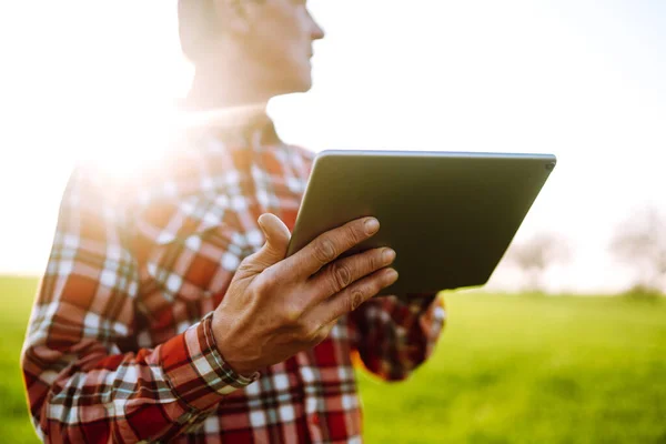 Tavoletta Nelle Mani Contadino Una Fattoria Intelligente Agricoltore Controlla Raccolti — Foto Stock