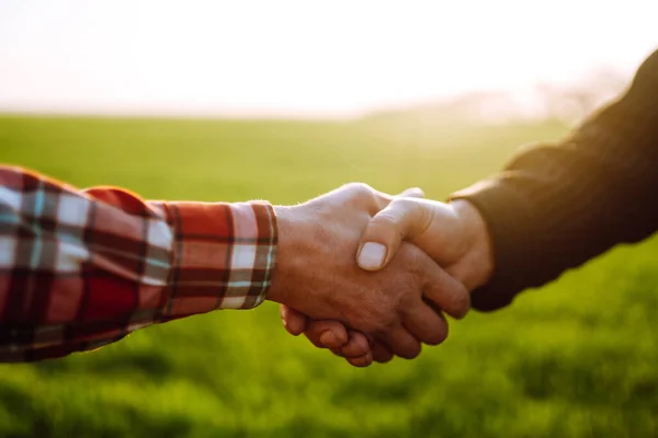 Mensen Schudden Elkaar Hand Een Tarweveld Boerenakkoord Concept Landbouwgroei Landbouwbedrijf — Stockfoto