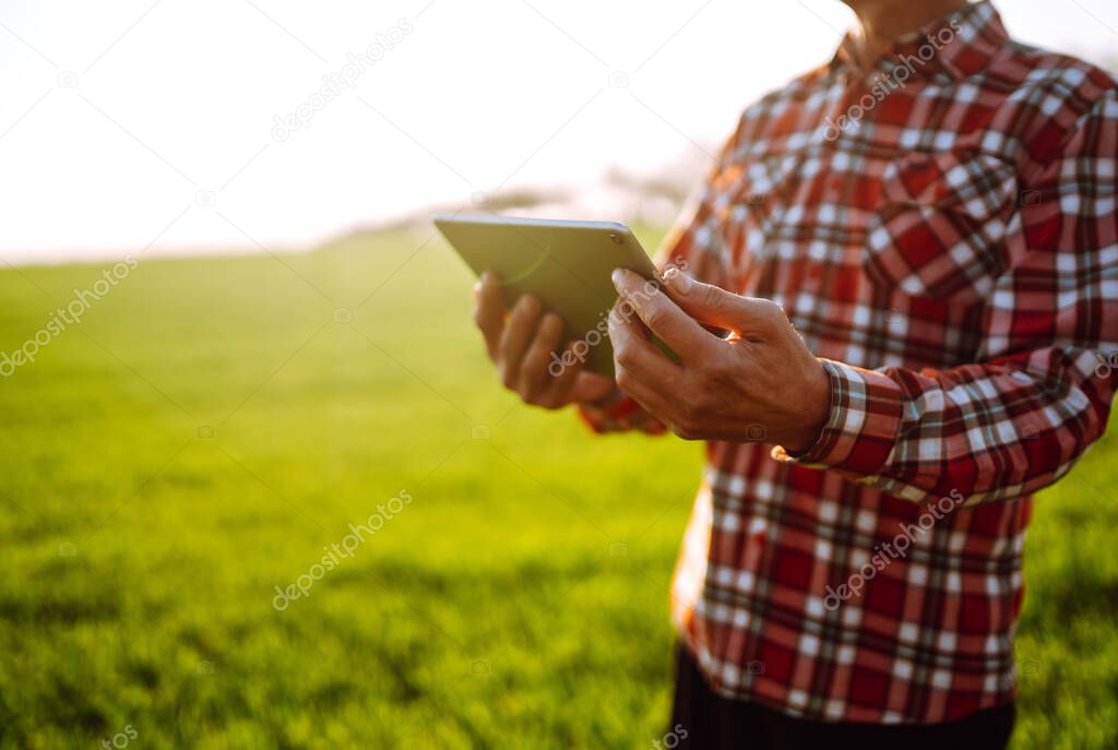 Tablet in the hands of a farmer. Smart farm. Farmer checking his crops on an agriculture field. Ripening ears of wheat field. The concept of the agricultural business.