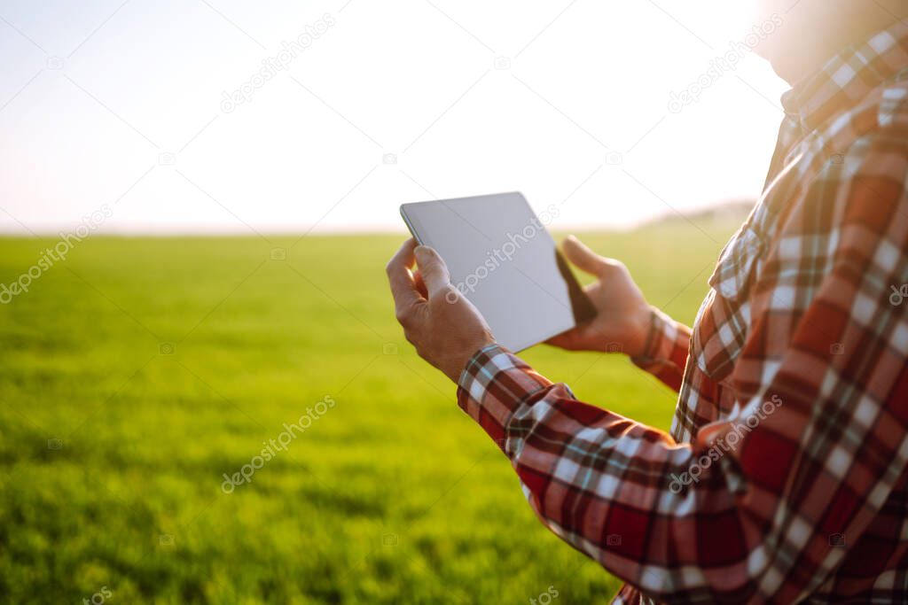 Tablet in the hands of a farmer. Smart farm. Farmer checking his crops on an agriculture field. Ripening ears of wheat field. The concept of the agricultural business.