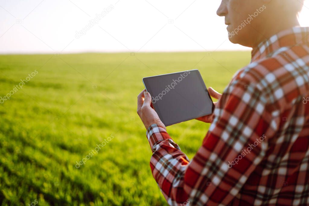 Tablet in the hands of a farmer. Smart farm. Farmer checking his crops on an agriculture field. Ripening ears of wheat field. The concept of the agricultural business.