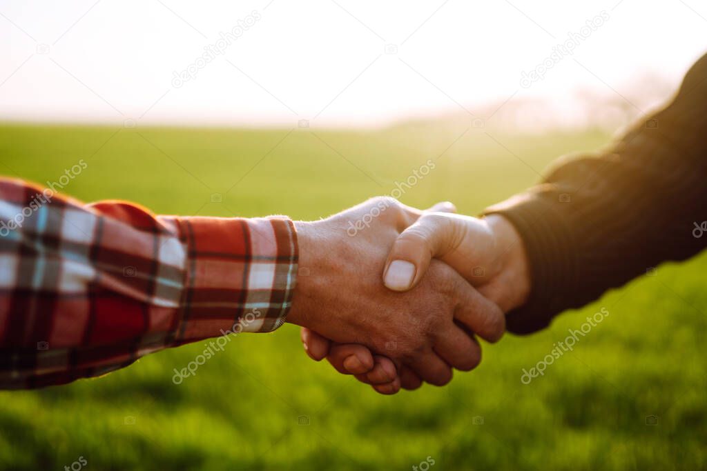 People shaking hands in a wheat field, farmer's agreement. Agricultural growth and farming business concept.
