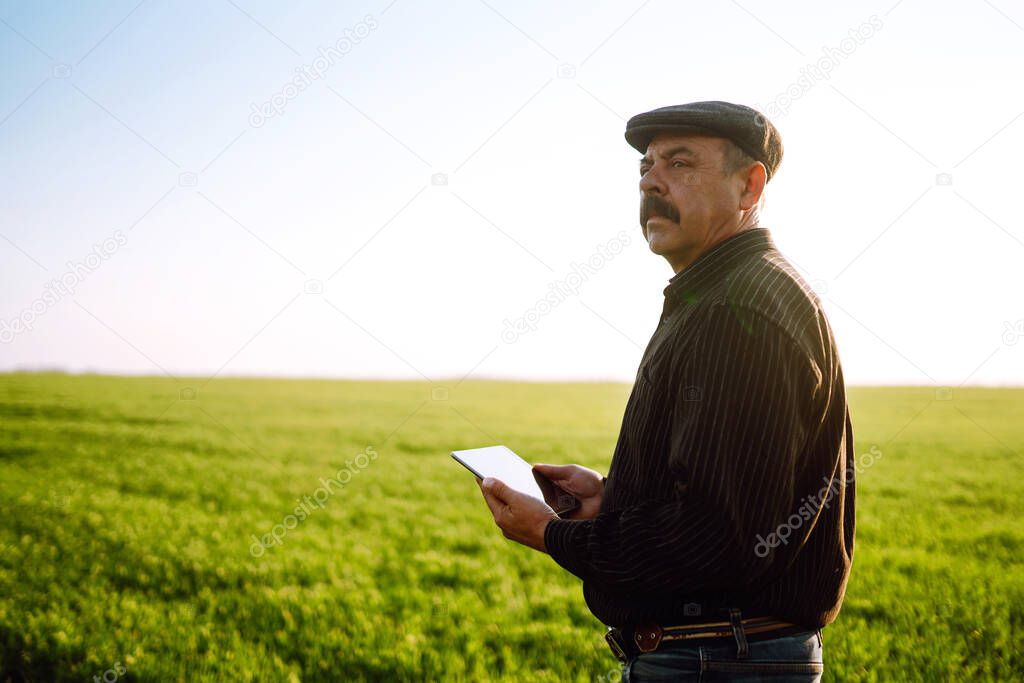 Farmer on a green wheat field with a tablet in his hands. Smart farm. Farmer checking his crops on an agriculture field. Ripening ears of wheat field. The concept of the agricultural business.