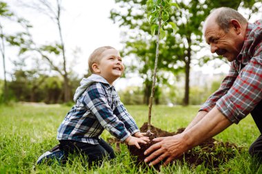 Küçük çocuk bahçede birlikte çalışırken büyükbabasının ağaç dikmesine yardım ediyor. Eğlenceli küçük bahçıvan. Bahar konsepti, doğa ve bakım.