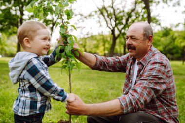 Küçük çocuk bahçede birlikte çalışırken büyükbabasının ağaç dikmesine yardım ediyor. Eğlenceli küçük bahçıvan. Bahar konsepti, doğa ve bakım.