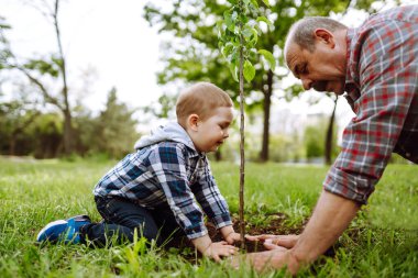 Küçük çocuk bahçede birlikte çalışırken büyükbabasının ağaç dikmesine yardım ediyor. Eğlenceli küçük bahçıvan. Bahar konsepti, doğa ve bakım.