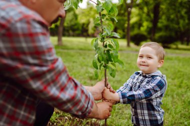 Küçük çocuk bahçede birlikte çalışırken büyükbabasının ağaç dikmesine yardım ediyor. Eğlenceli küçük bahçıvan. Bahar konsepti, doğa ve bakım.