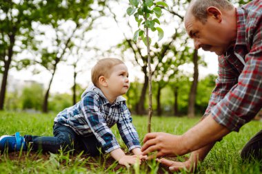 Küçük çocuk bahçede birlikte çalışırken büyükbabasının ağaç dikmesine yardım ediyor. Eğlenceli küçük bahçıvan. Bahar konsepti, doğa ve bakım.