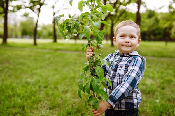 Pequena Criança Planta Árvore Jovem Jardineiro Divertido Conceito Primavera Natureza — Fotografia de Stock