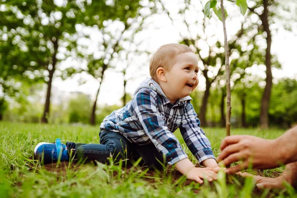 Petit Garçon Aidant Son Grand Père Planter Arbre Tout Travaillant — Photo