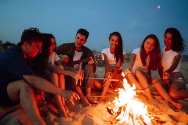 Bir grup mutlu arkadaş sahilde kamp ateşinde sosis kızartıyorlar. Bir grup genç insan barbekü için bir araya geldi..