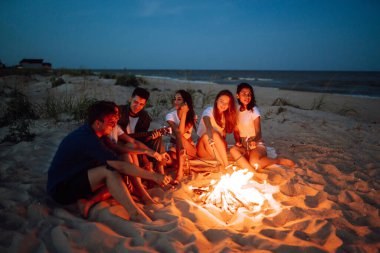 Bir grup mutlu arkadaş sahilde kamp ateşinde sosis kızartıyorlar. Bir grup genç insan barbekü için bir araya geldi..