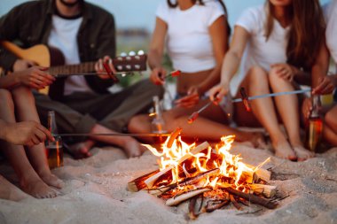 Seyahat, turizm, yürüyüş, piknik ve insanların konsepti. Kumsalda kamp ateşinde sosis kızartan bir grup mutlu arkadaş. Bir grup genç insan barbekü için bir araya geldi..