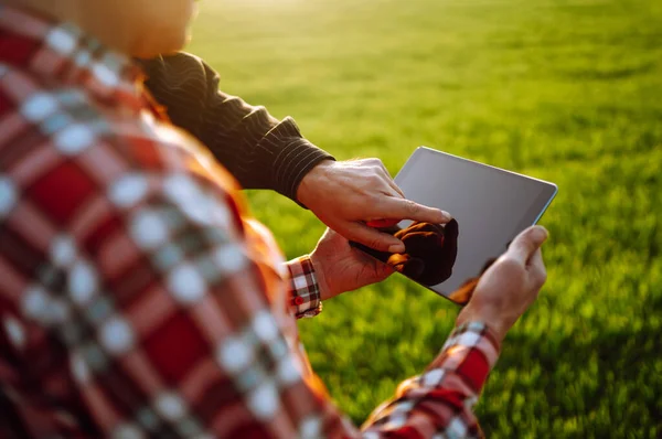 Due Agricoltori Piedi Nel Campo Grano Verde Utilizzando Touch Pad — Foto Stock