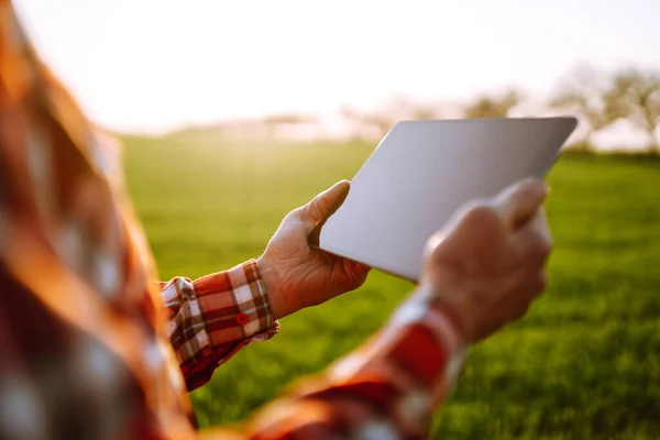 Tabletvorm Handen Van Landbouwer Staat Van Het Gewas Controleren Een — Stockfoto