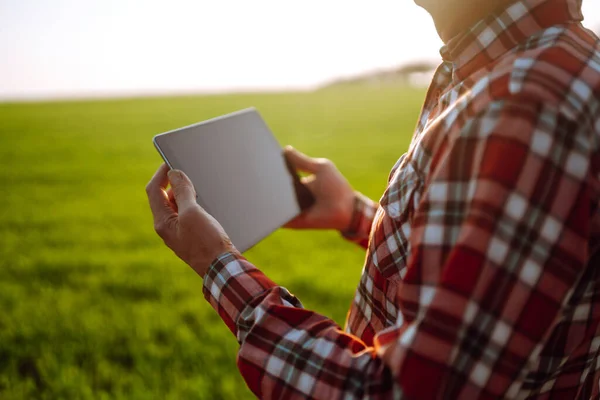 Tavoletta Nelle Mani Dell Agricoltore Controllare Condizioni Della Coltura Una — Foto Stock