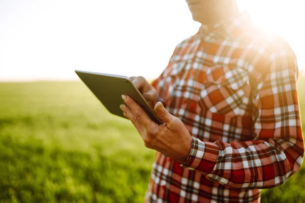 Tavoletta Nelle Mani Dell Agricoltore Controllare Condizioni Della Coltura Una — Foto Stock