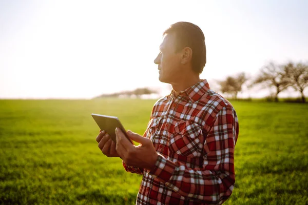 Owner Farm Using Touch Pad Check Wheat Quality Field Agronomist — Stock Photo, Image