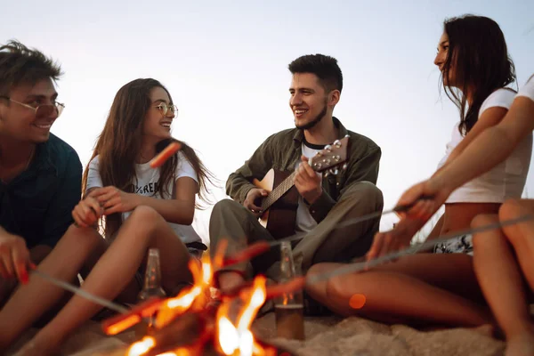 Group Happy Friends Frying Sausages Campfire Beach Company Young People — Stock Photo, Image
