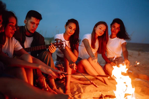 Skupina Šťastných Přátel Smaží Párky Táborovém Ohni Pláži Rota Mladých — Stock fotografie