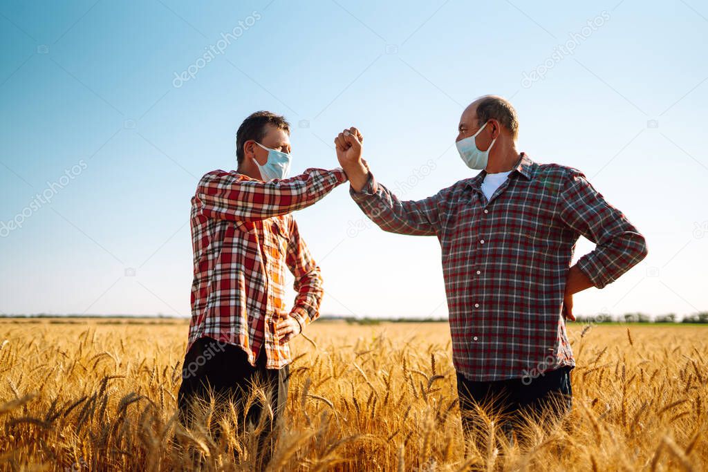 Farmers in sterile medical masks on his face greet their elbows on a wheat field. Elbow bump is new greeting to avoid the spread of coronavirus. Don't shake hands. Stop handshakes.