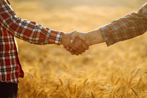 Handshake. Two farmer standing and shaking hands in a wheat field. Agricultural business.