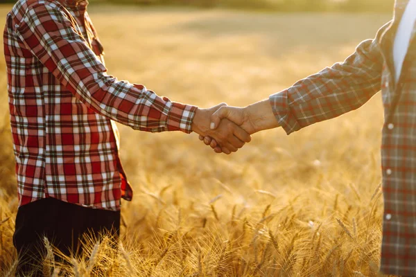两个农夫站在麦田里握手 农业企业 — 图库照片