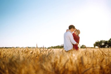 Bir çift buğday tarlasında eğleniyor ve dinleniyor. Genç kız arkadaş ve erkek arkadaş öpüşüyor ve sarılıyorlar. Gençlik, aşk ve yaşam tarzı kavramı.