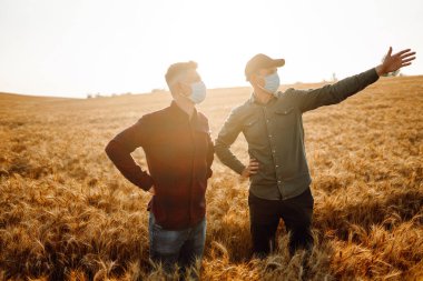 Tarlada tabletli, steril tıbbi maskeli çiftçiler. Akıllı çiftlik. Tarım sektörü kavramı. Covid 19.