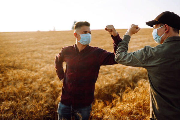 Farmers in sterile medical masks on his face greet their elbows on a wheat field. Stop handshakes. Agriculture and harvesting concept. Covid-19.