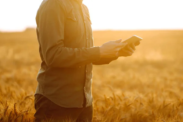 Boer Steriele Medische Maskers Met Een Tablet Zijn Handen Het — Stockfoto