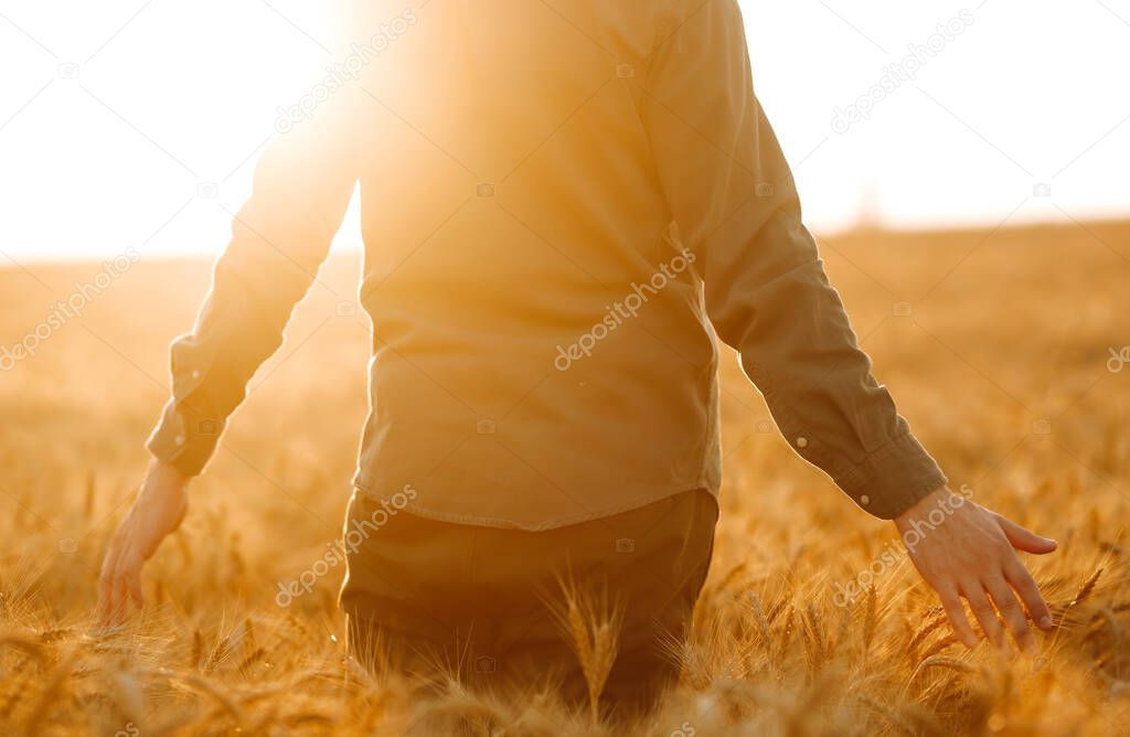 Man  in medical mask with his back to the viewer In a field of wheat touched by the hand of spikes In the sunset light. Agricultural growth and farming business concept. Covid-2019.