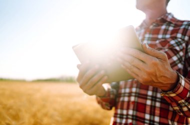 Akıllı çiftlik. Elinde tabletle tarım alanında çalışan bir çiftçi. Hasat, organik tarım konsepti. 