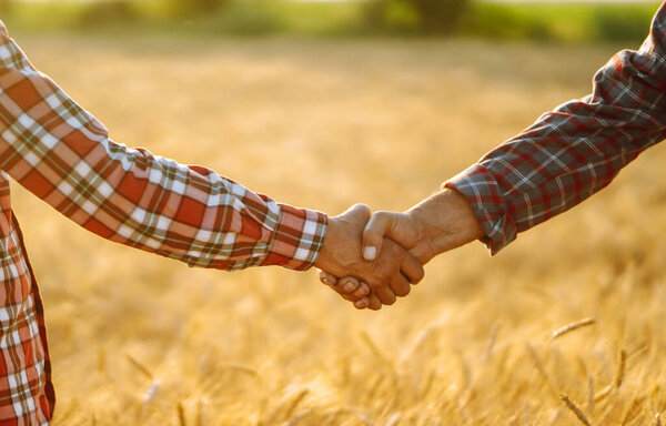 Handshake of two farmer. Successful businessmen handshaking after good deal on the background of a wheat field. Agriculture and harvesting concept. 